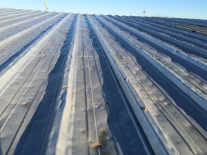 Hail Damaged Roof1