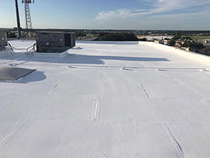 Roof Inspection1